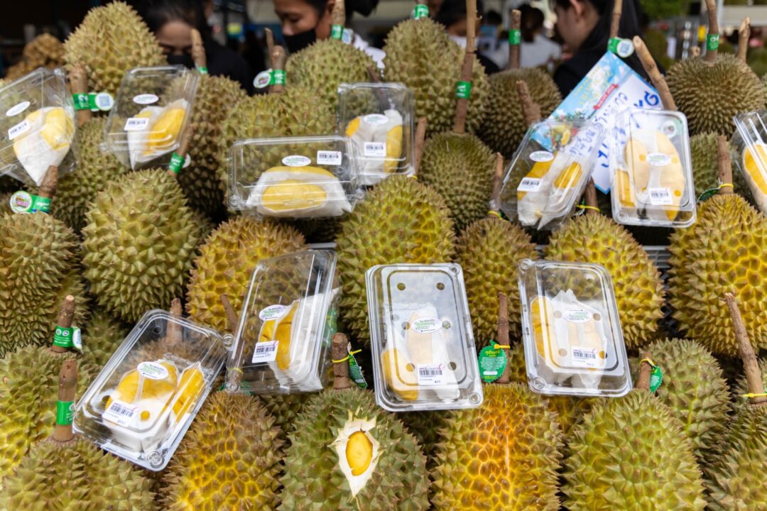 “SIAM PARAGON TROPICAL FRUIT PARADE 2024” เอาใจสายทุเรียน บุฟเฟต์ 10