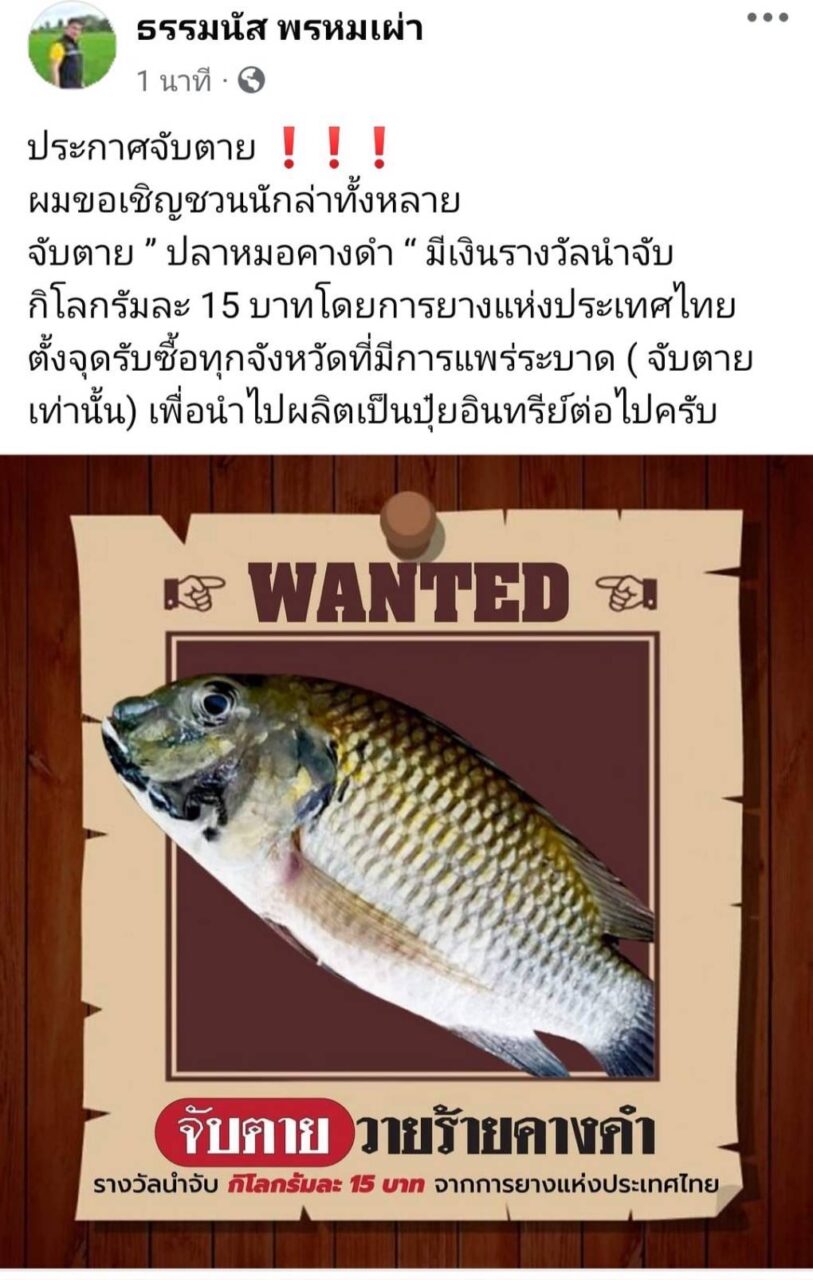 ทำอาหาร | เดลินิวส์