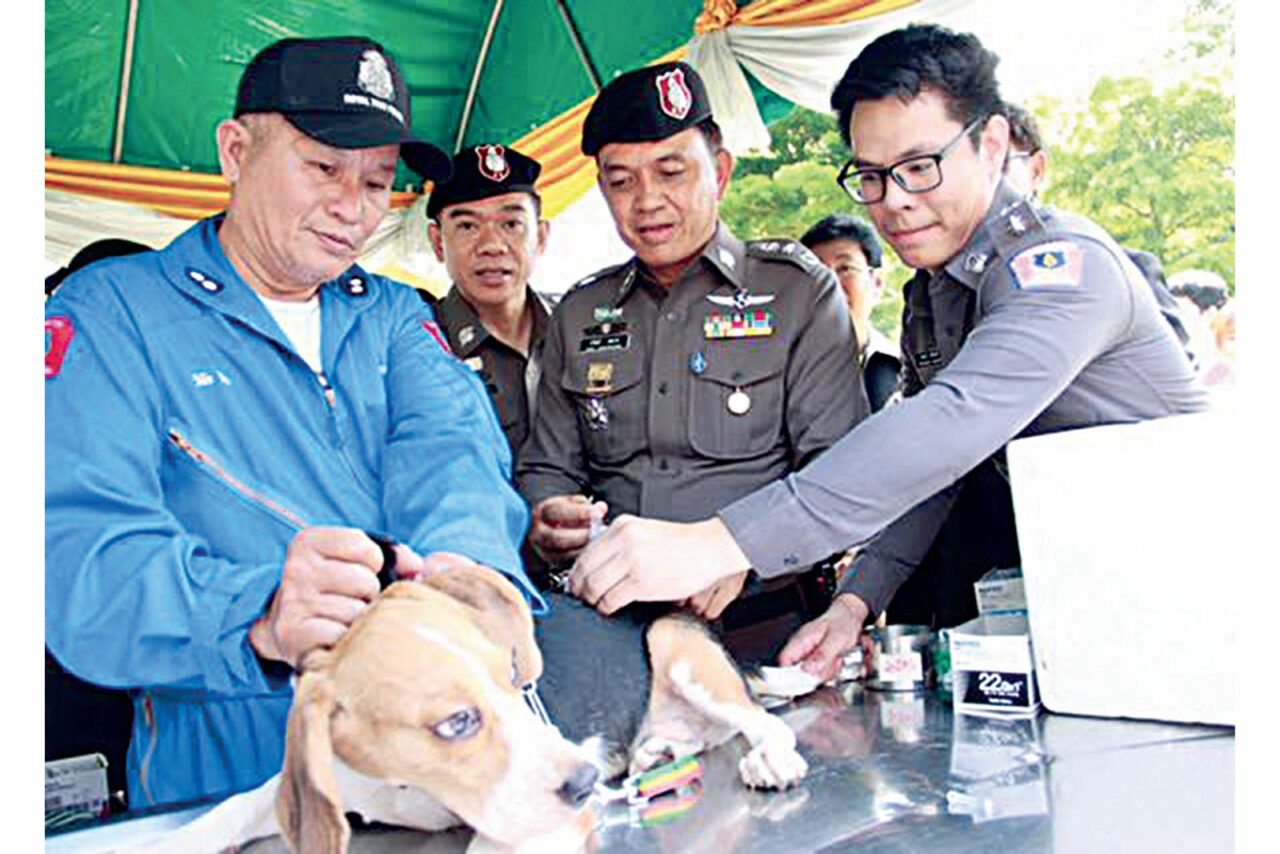 ลดความเสี่ยงติด ‘พิษสุนัขบ้า’ | เดลินิวส์